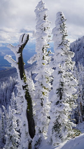 DSC00244.JPG