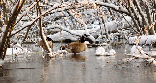 DSC_0017_074.JPG