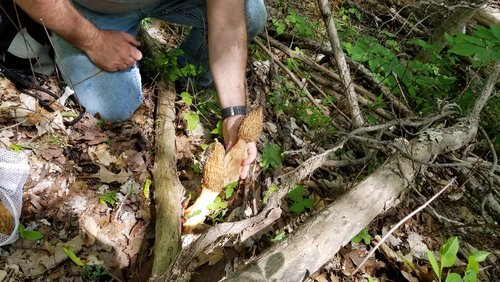 20190429_121438[1].jpg