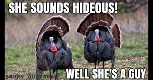 Hunt - turkey she's a guy.jpg