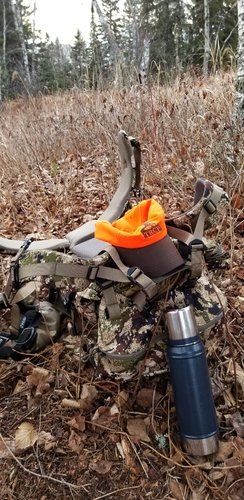 20181103_084704.jpg 20181103_084704.jpg