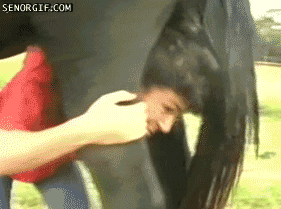 1587193106479.gif 1587193106479.gif