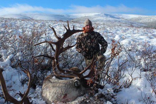 AK Caribou.jpg AK Caribou.jpg