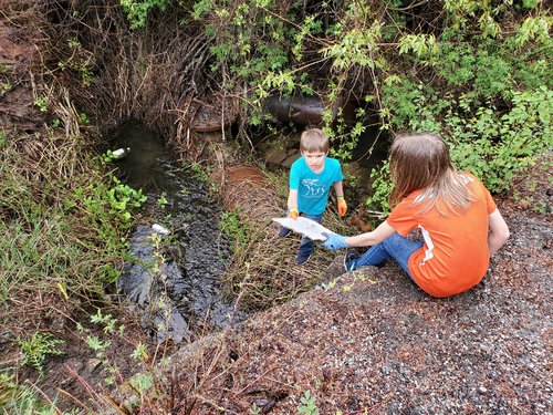 20200422_161924.jpg 20200422_161924.jpg