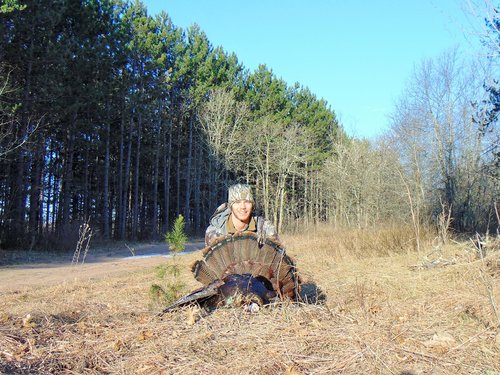 Turkey in Burnett County Forest (5).JPG