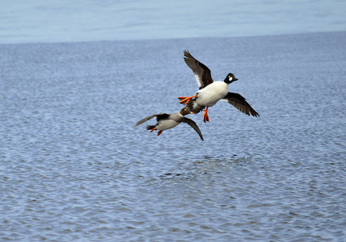 DSC_0354_106.JPG