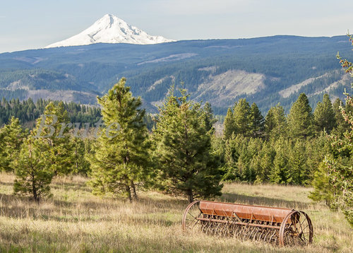 Mt. Hood a-0702.JPG
