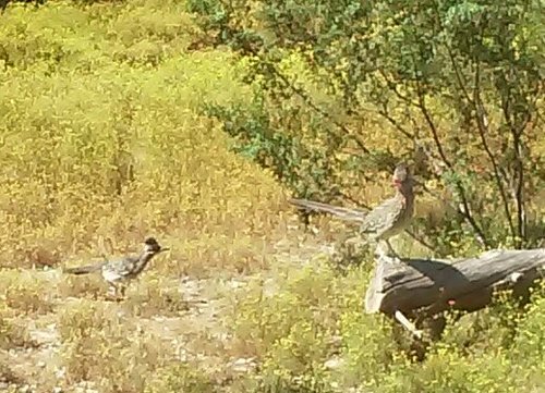 Sporting new shades 4-20' (1).jpg