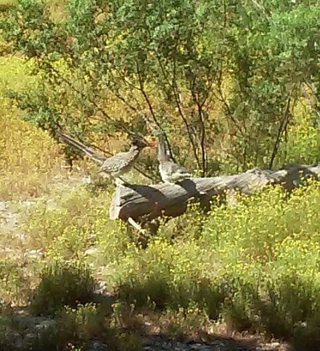 Mom and Baby 4-19-20.jpg