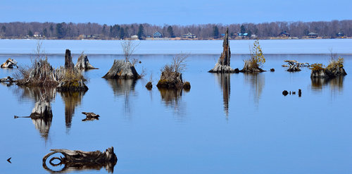 DSC_0378_115.JPG DSC_0378_115.JPG