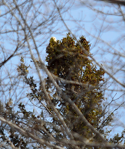 DSC_0659_140.JPG DSC_0659_140.JPG
