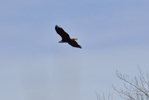 DSC_0663_141.JPG DSC_0663_141.JPG