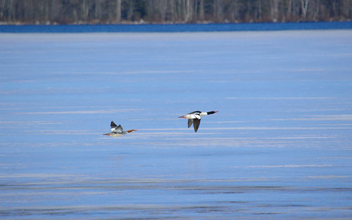 DSC_0398_116.JPG DSC_0398_116.JPG