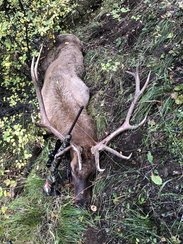 CC71A1A2-F1BA-4859-BBC1-5C642293AE3D.jpeg CC71A1A2-F1BA-4859-BBC1-5C642293AE3D.jpeg