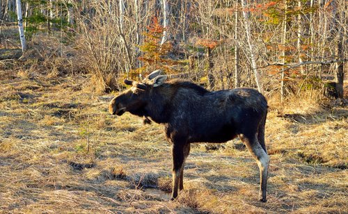 DSC_0994_168 R.JPG DSC_0994_168 R.JPG