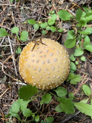 C2B6E342-4B2A-4438-8972-7CFF7A084854.jpeg C2B6E342-4B2A-4438-8972-7CFF7A084854.jpeg