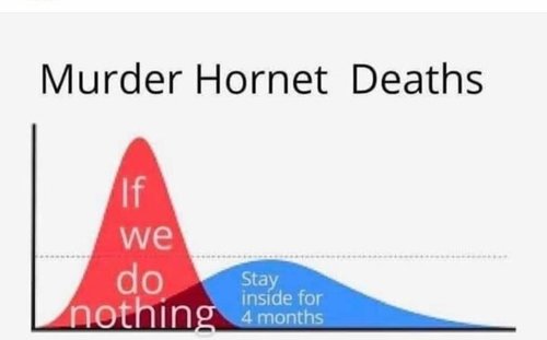 D1C53373-F97D-44A0-95E8-8E4E819383E6.jpeg D1C53373-F97D-44A0-95E8-8E4E819383E6.jpeg