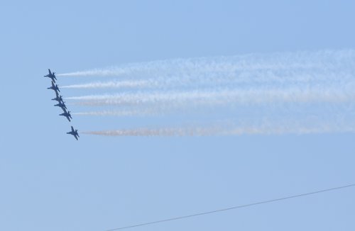DSC_7231.JPG