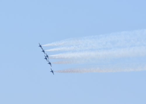 DSC_7238.JPG