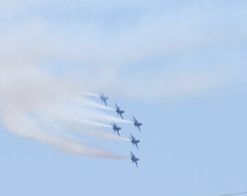 DSC_7248.JPG