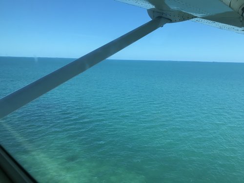 IMG_1583.JPEG IMG_1583.JPEG