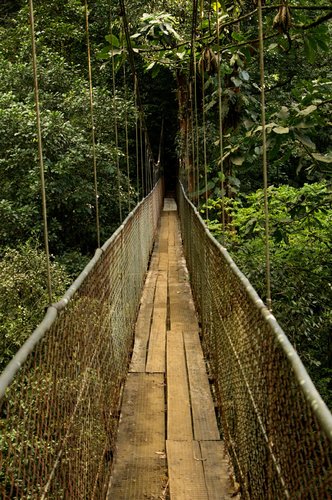 Las Heliconias bridge 2.jpg Las Heliconias bridge 2.jpg