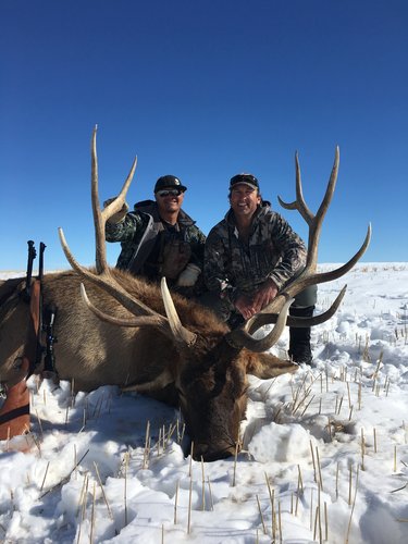 daves Elk.jpg daves Elk.jpg
