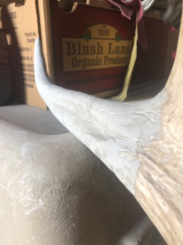 elk main beam repair- finished5.jpg elk main beam repair- finished5.jpg