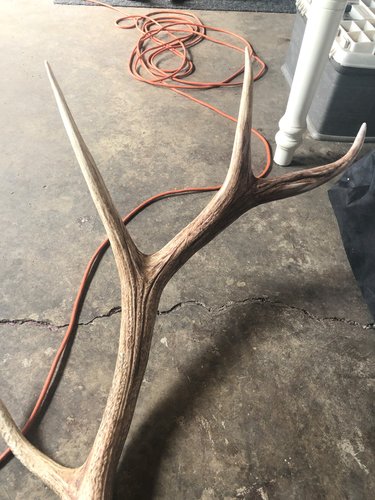 elk main beam repair- finished2.jpg elk main beam repair- finished2.jpg
