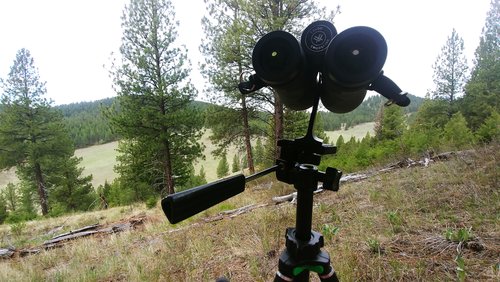 0506201034a.jpg