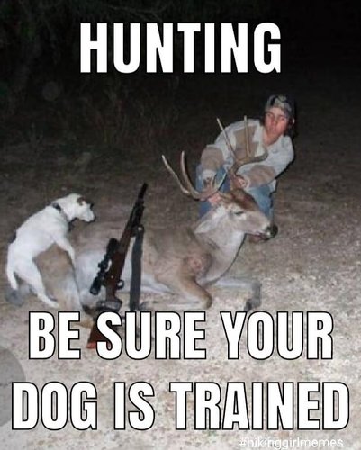 dogtrained.jpg