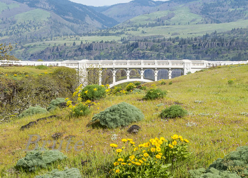 Bridge Columbia River Gorge a-1120.jpg