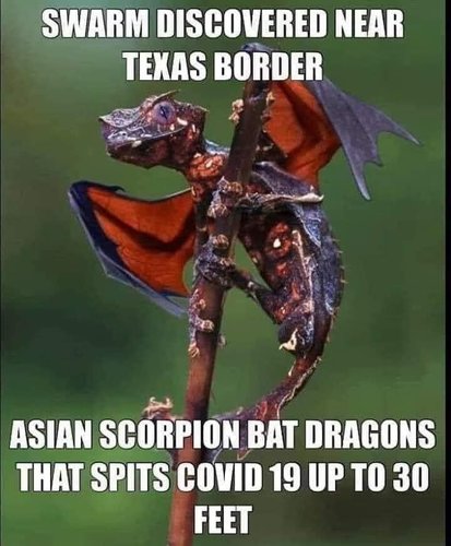 98B5179D-4AA0-464A-AAF5-88D6C6EB9F24.jpeg