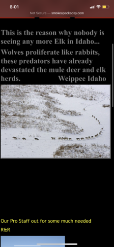 F0E90C05-AB95-463C-A9B7-E43544D1FBC6.png F0E90C05-AB95-463C-A9B7-E43544D1FBC6.png