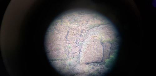 20191108_093257.jpg 20191108_093257.jpg