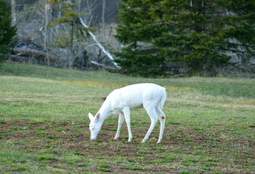 DSC_1236_193.JPG DSC_1236_193.JPG