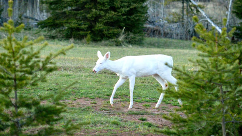 DSC_1240_196.JPG DSC_1240_196.JPG