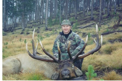 Dad's bull.jpg Dad's bull.jpg