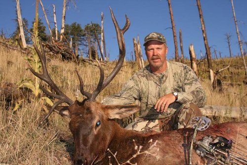 07 Elk.jpg