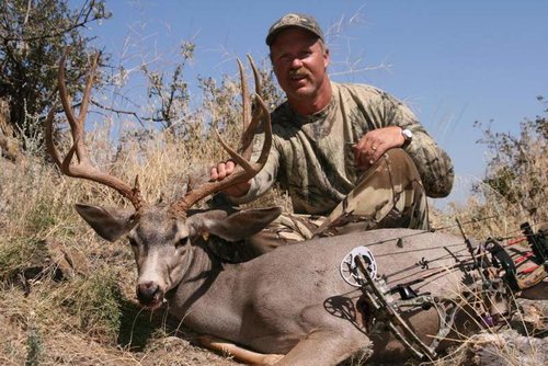 07 Mule deer.jpg