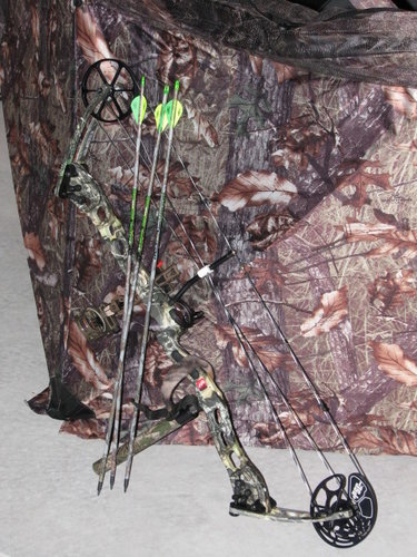 misc 353.JPG misc 353.JPG