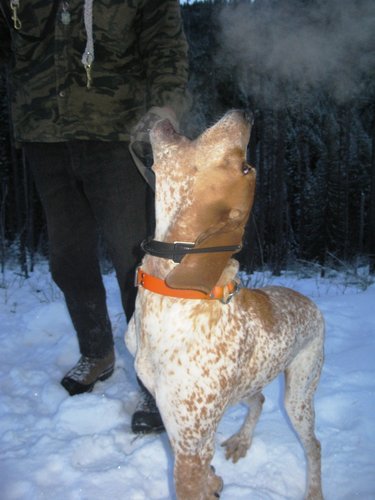 Gerald Montana 2010 winter 060.jpg