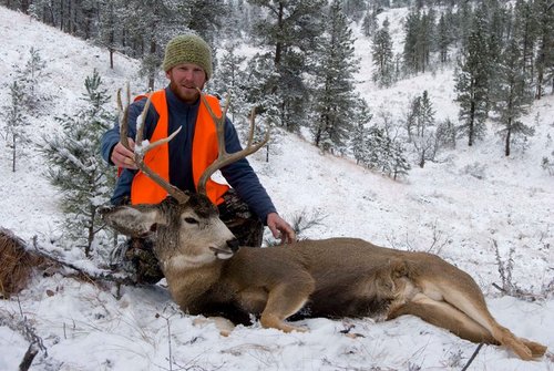 muley1.jpg