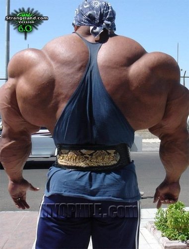 Me_from_behind.jpg