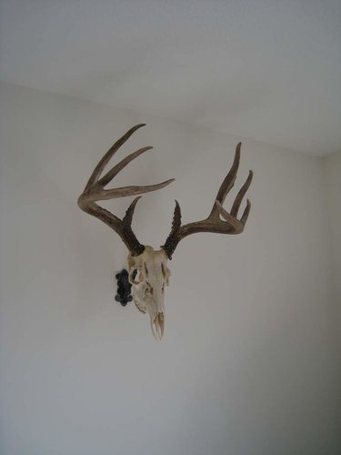 Rack Bracket 002.jpg