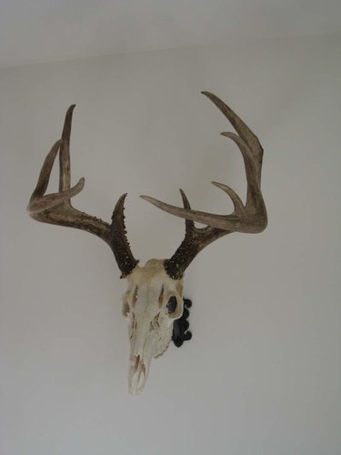 Rack Bracket 006.jpg