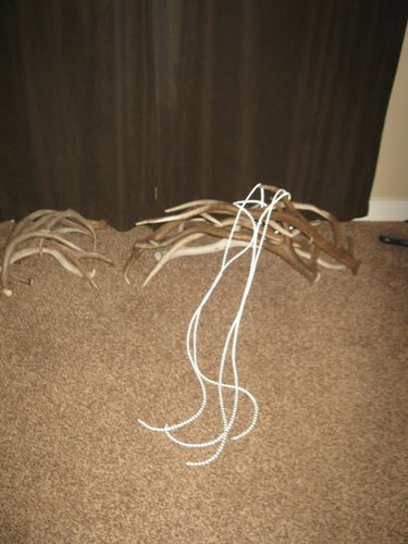 IMG_2520.JPG IMG_2520.JPG