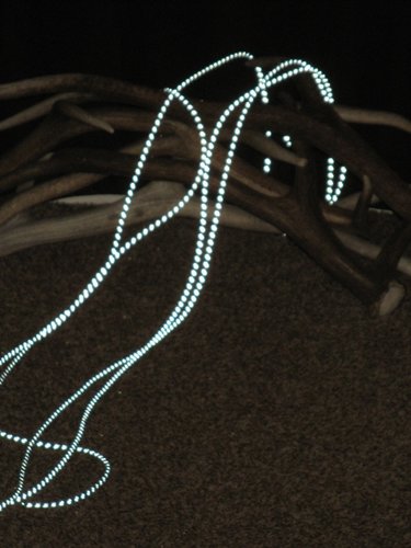 IMG_2521.JPG IMG_2521.JPG