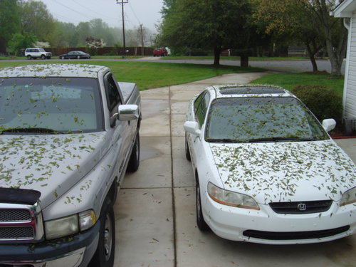 hail 004.jpg