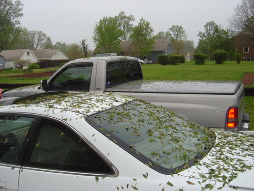 hail 005.jpg